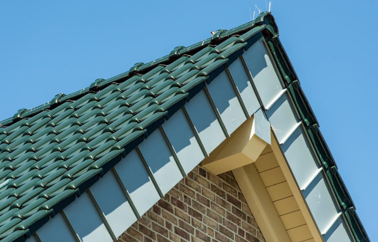 ERLUS E 58 MAX - Vert royal | © ERLUS 2022