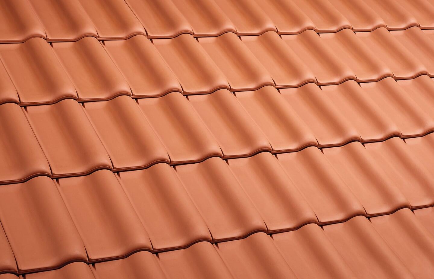 E 58 MAX® - Natural red | Image roof surface | © © ERLUS AG 2021