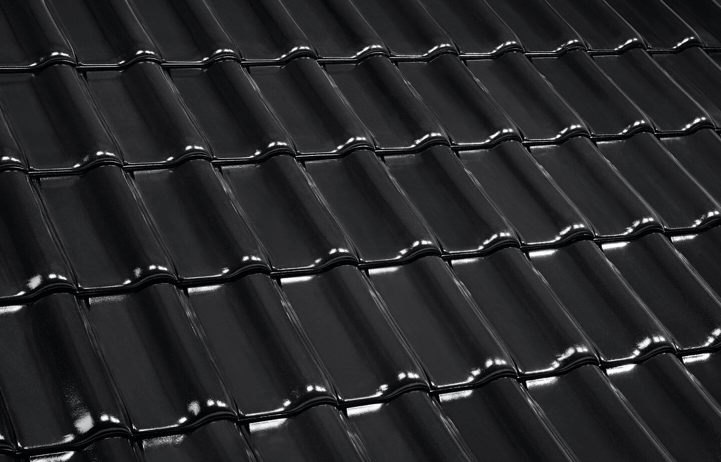 E 58 MAX - Diamantschwarz | Dachflächenbild