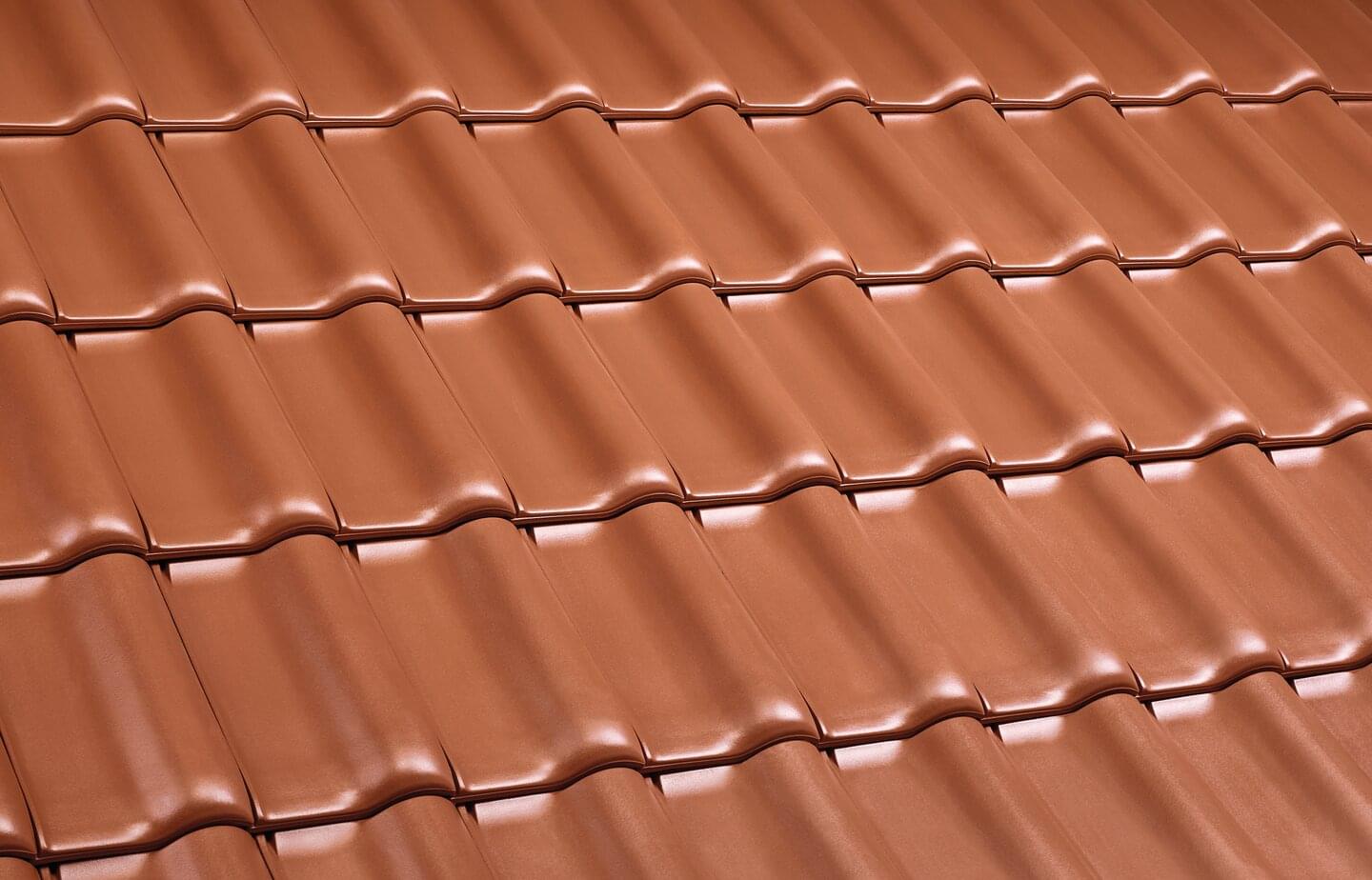 E 58 MAX® - Copper brown | Image roof surface