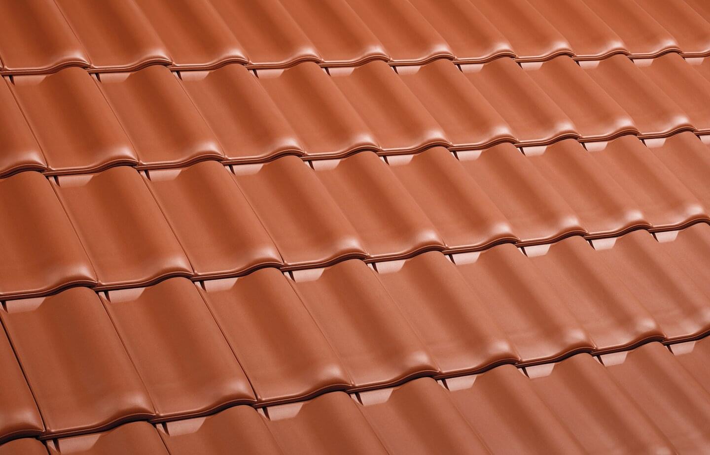 E 58 RS® - Red | Image roof surface | © © ERLUS AG 2021