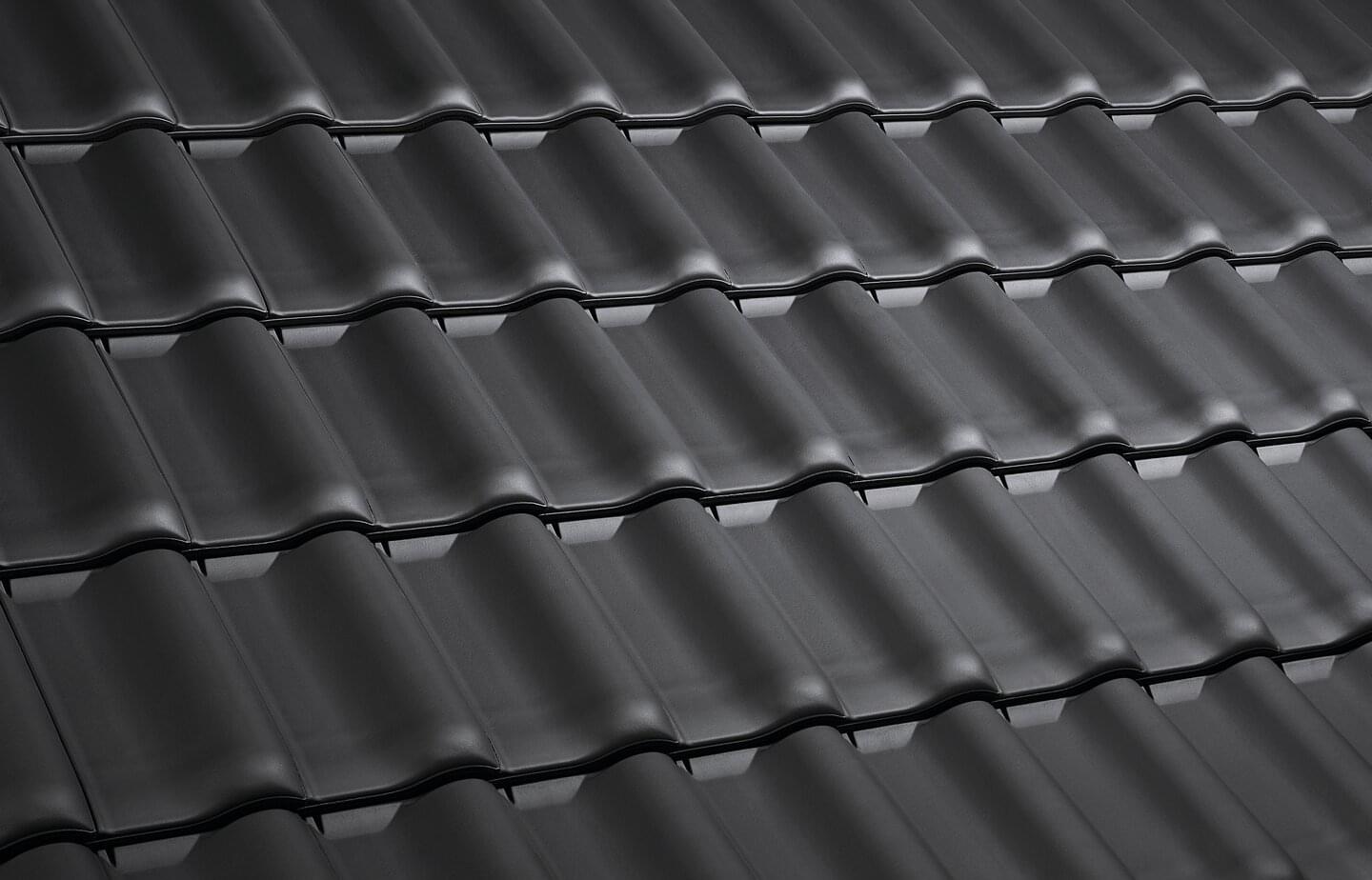E 58 RS® - Black Matt | Image roof surface | © © ERLUS AG 2021
