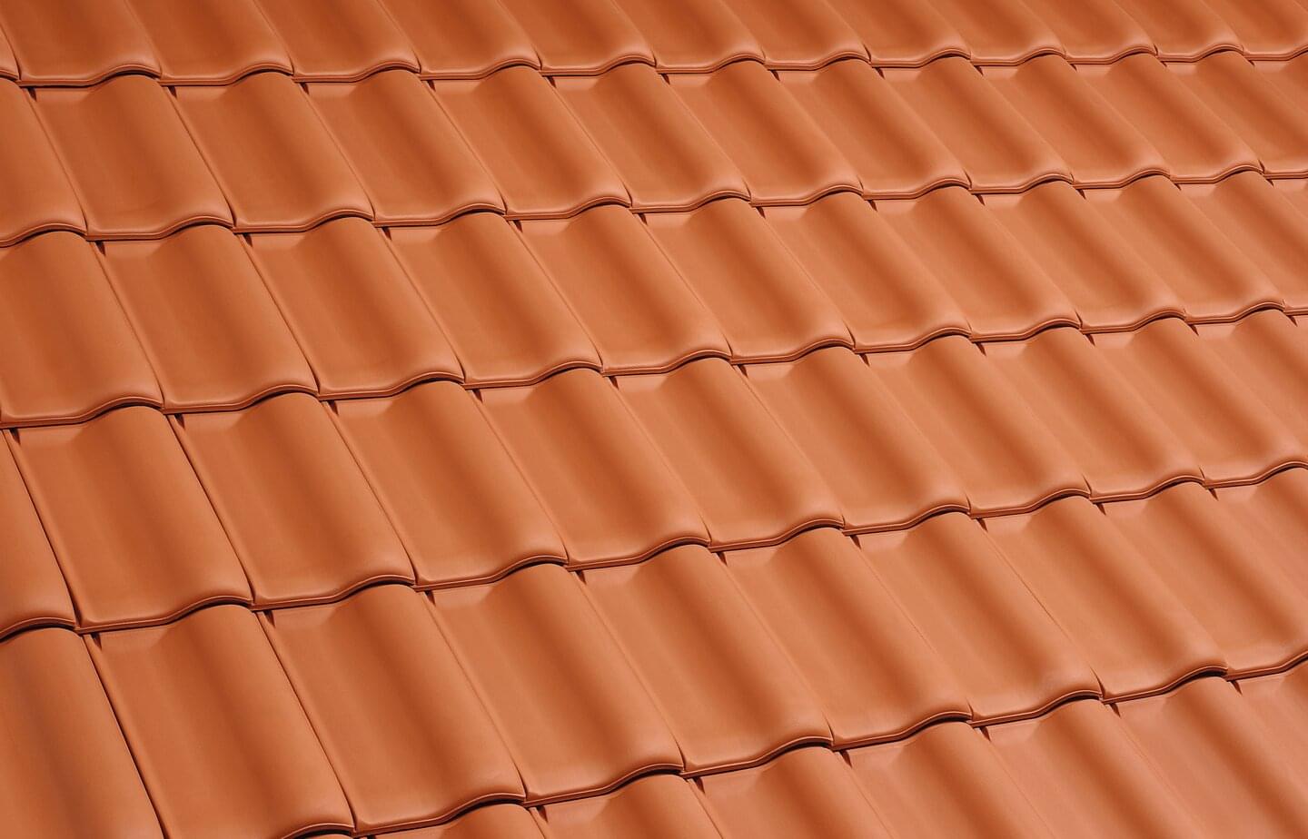 E58 S - Natural red | Image roof surface | © © ERLUS AG 2021