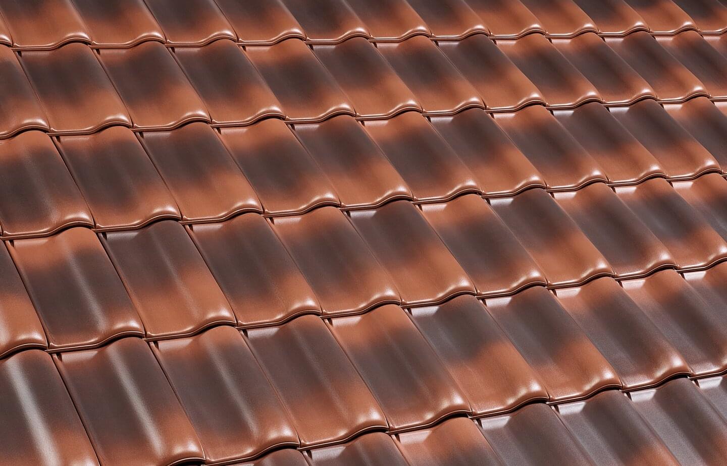 E58 S - Rustik | Image roof surface | © © ERLUS AG 2021