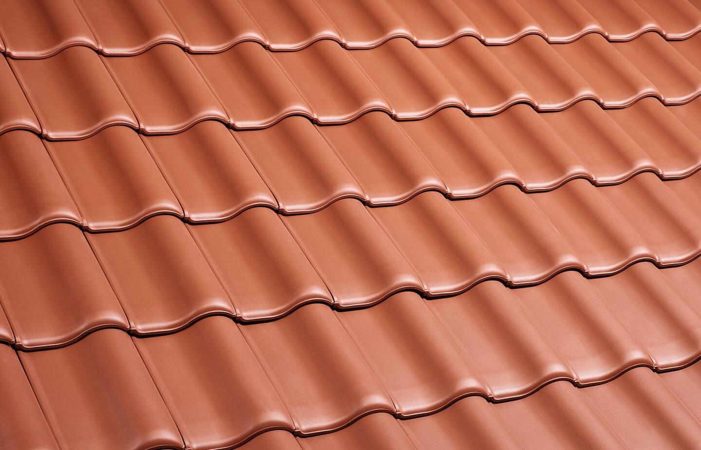 E 58 SL - Red | Image roof surface | © © ERLUS AG 2021