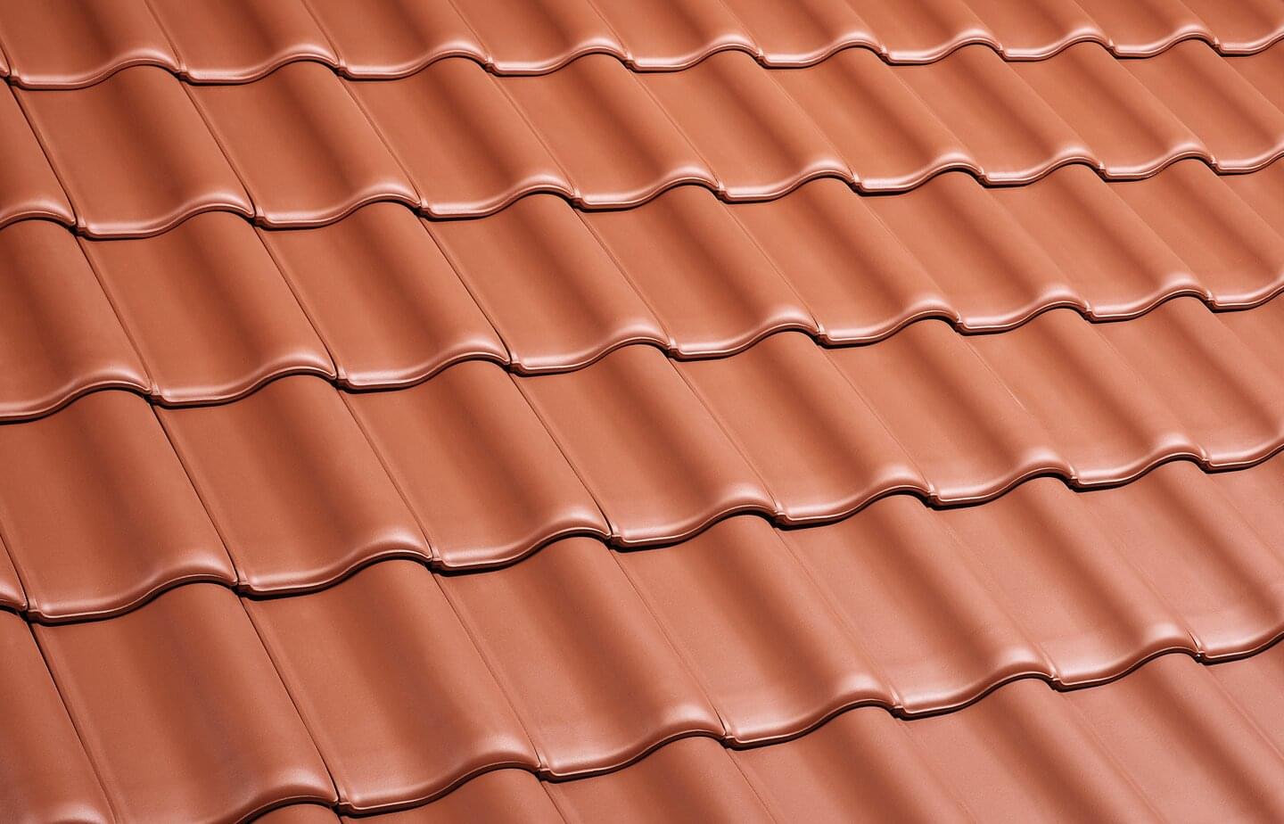 E 58 SL - Red | Image roof surface | © © ERLUS AG 2021