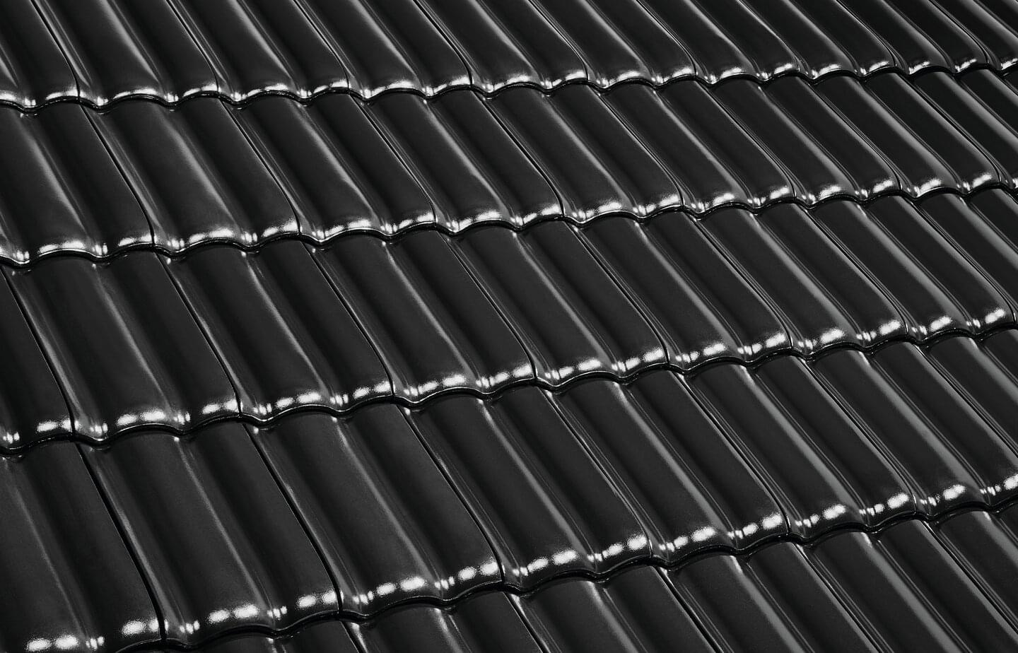 Forma - Diamantschwarz | Dachflächenbild | © © ERLUS AG 2021