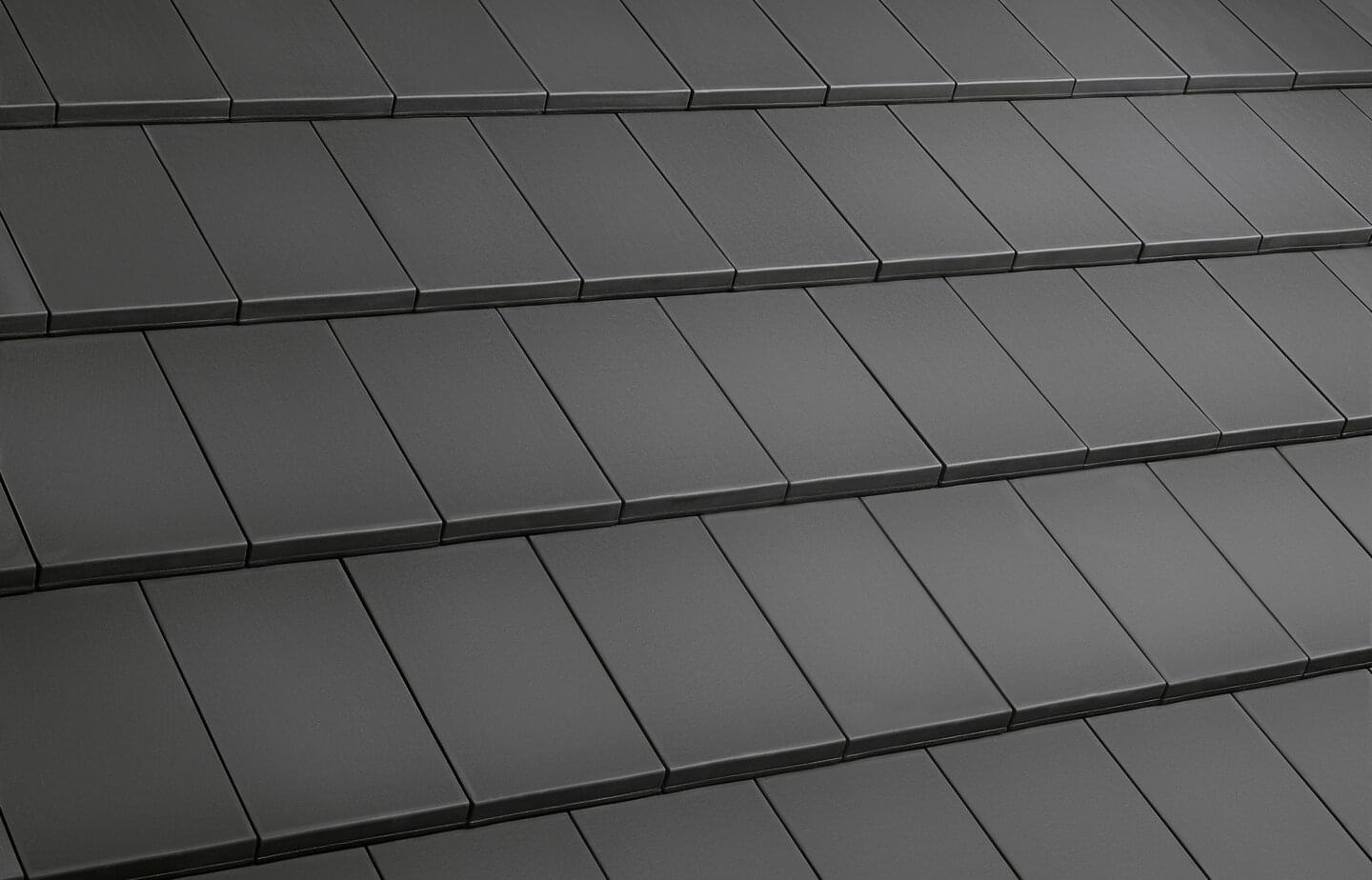 Level RS® - Sinterschwarz Matt | Dachflächenbild