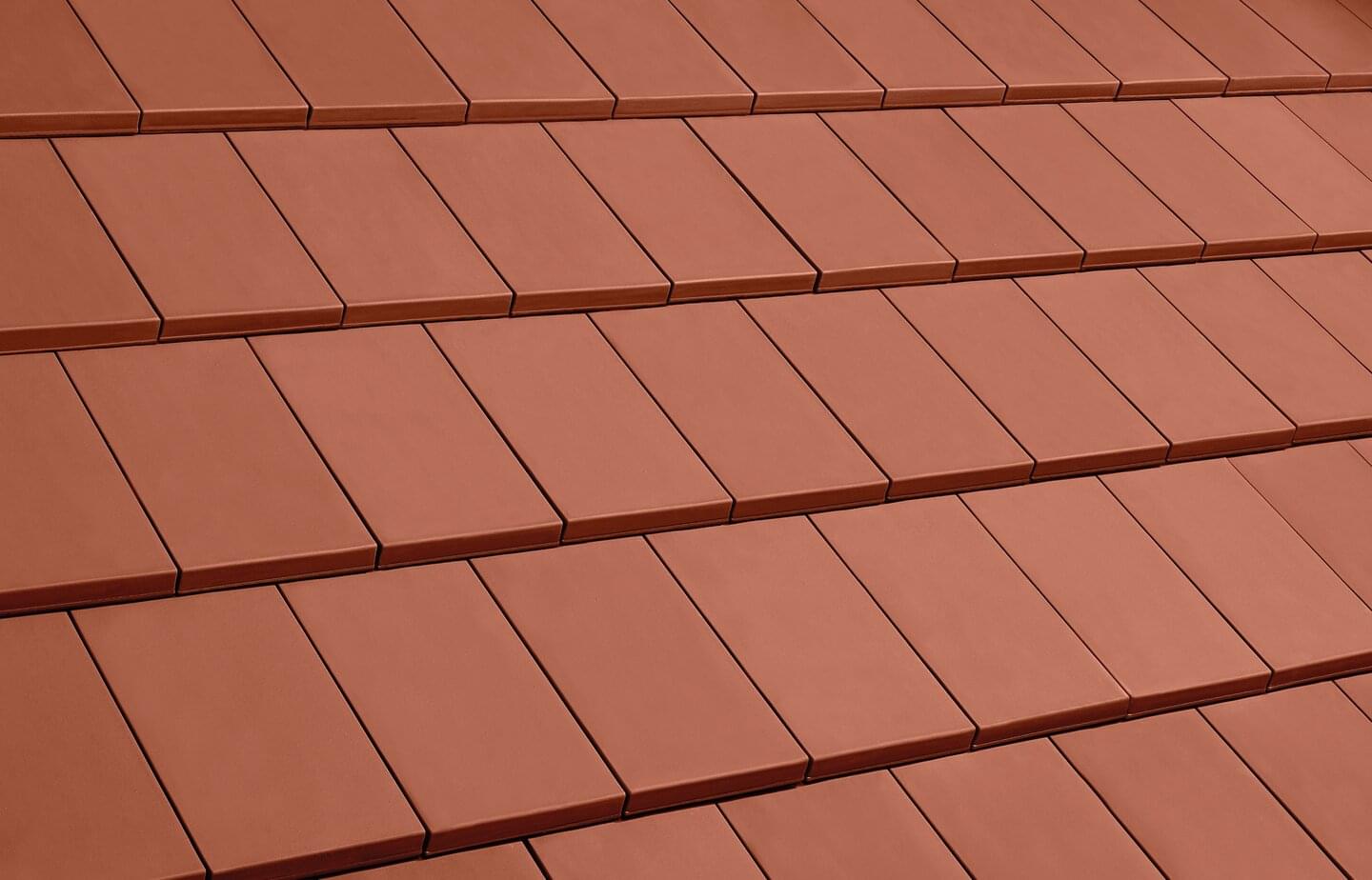 Level RS® - Rot Sinterbrand | Dachflächenbild