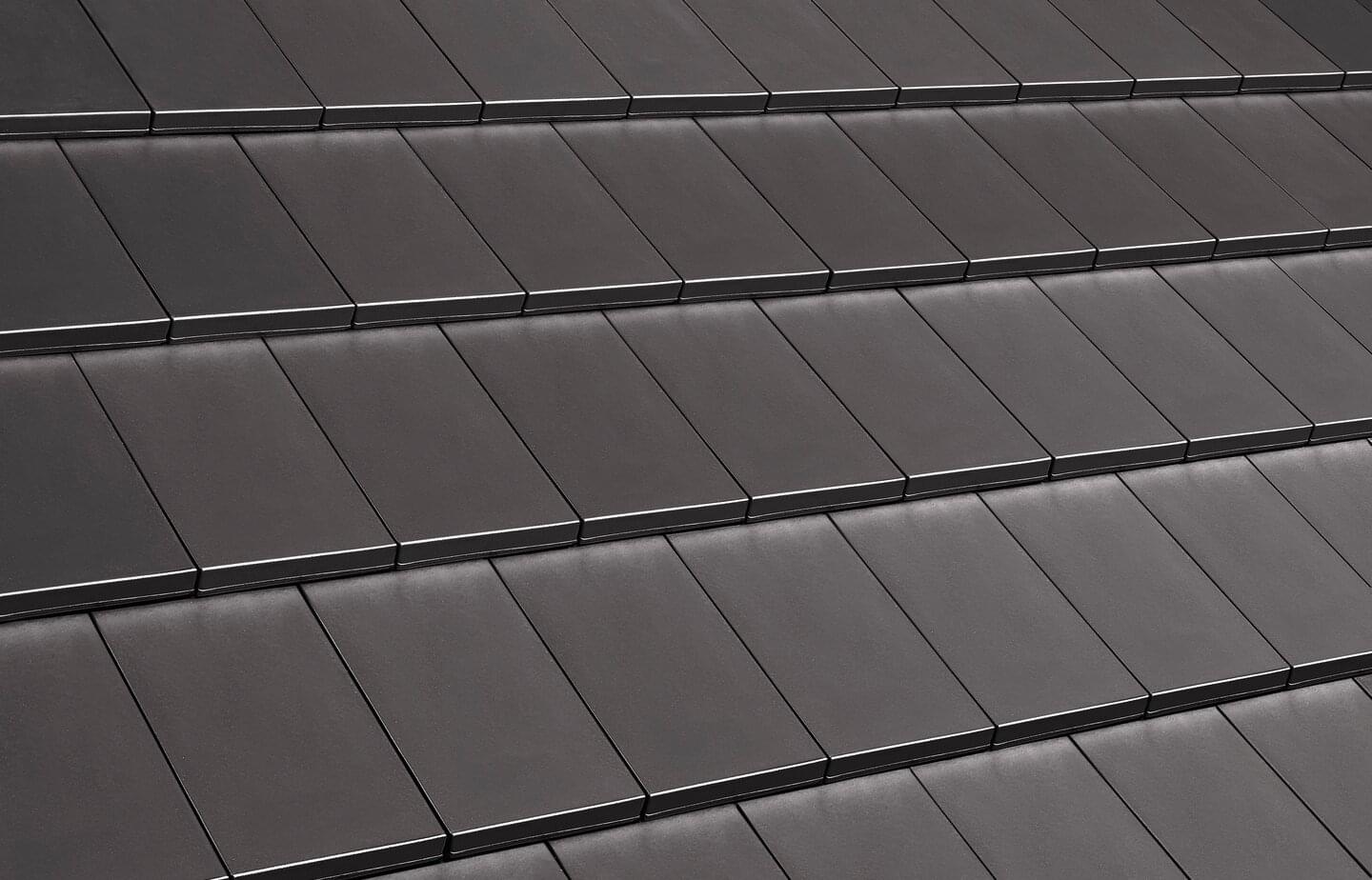 Level RS® - Sintergrau | Dachflächenbild