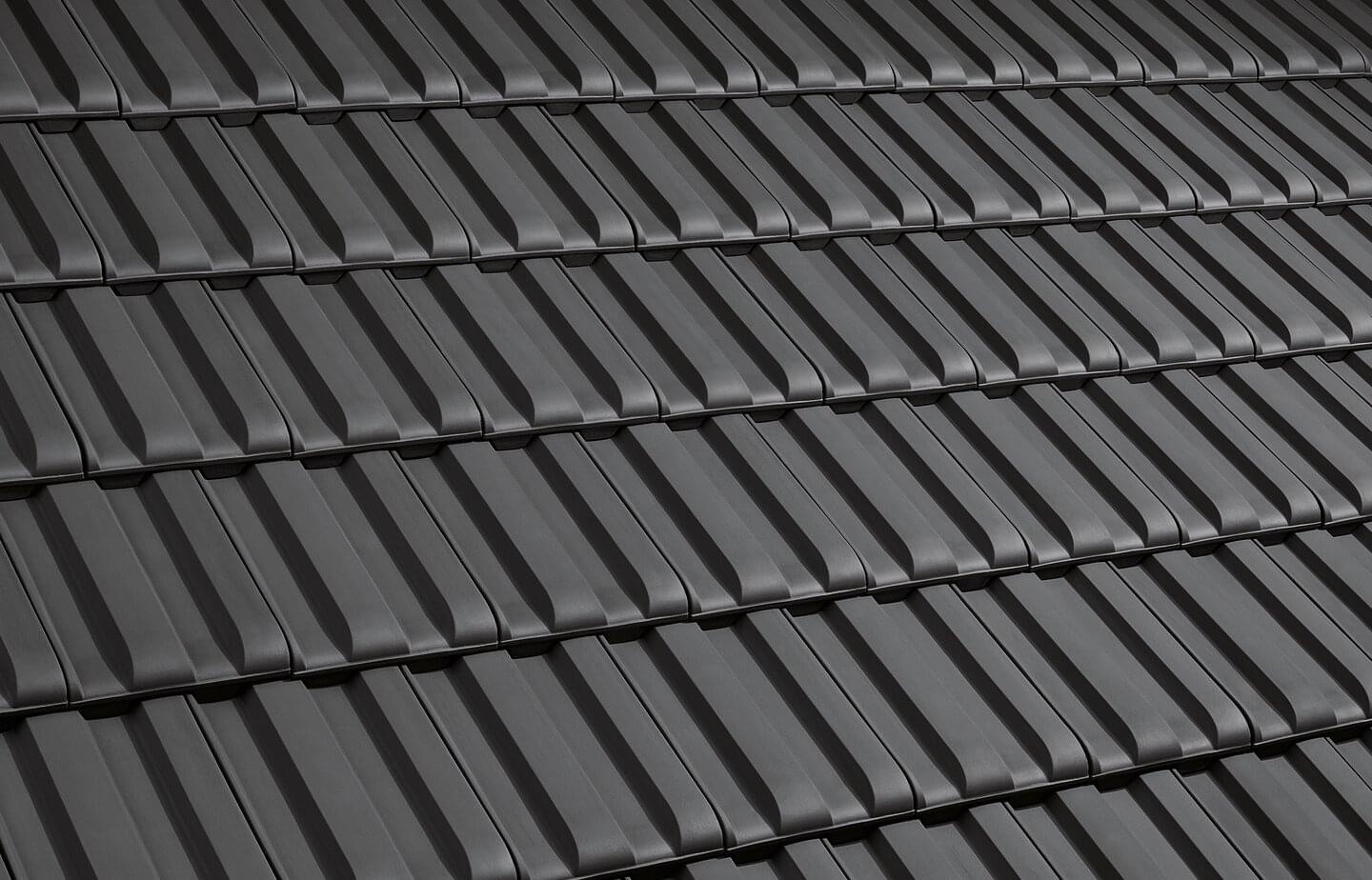 Scala - Sinterschwarz Matt | Dachflächenbild | © © ERLUS AG 2021