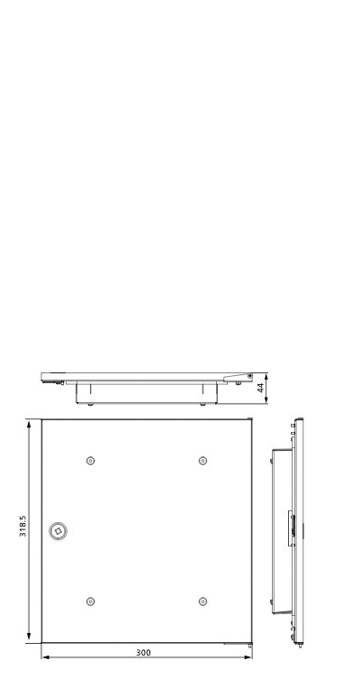 Design-Putztür